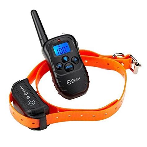 An Orange Dog Leash With Two Dogs On It One Has A Digital Collar And