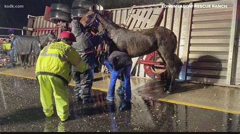 Horses Killed Euthanized After Crash On I 44 In Franklin County