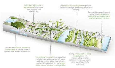 Nature Based Solutions For Resilience Infrastructure Pathways