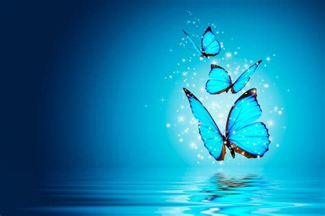Free Download Butterfly Blue Water Magical 4k Wallpaper Best Wallpapers