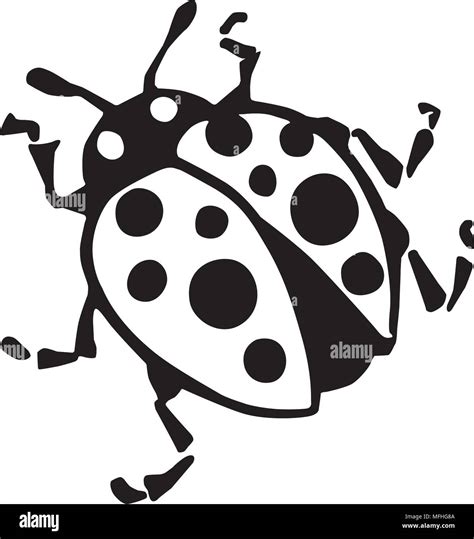 Clipart Ladybug Black And White