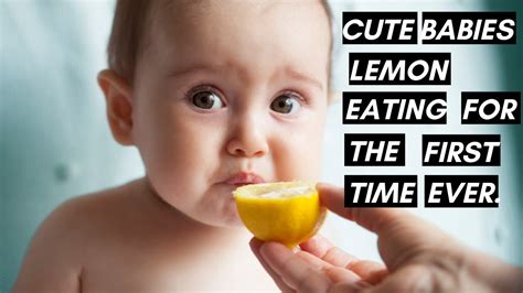 BABIES EATING LEMON FOR THE FIRST TIME CUTE LOVE FUNNY COMEDY TIKTOK SMILE LAUGH