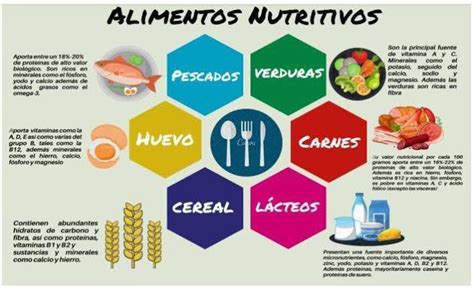 Infografía Del Valor Nutritivo De Los Alimentos Brainlylat
