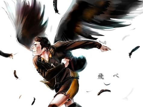 Haikyuu! Fly by 13lolol on DeviantArt