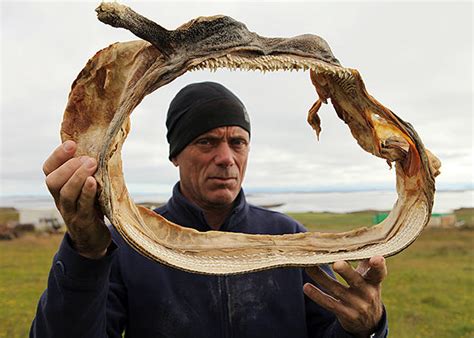 Mungo meets rancher rogelio, who was forced to leave his property 10 years ago due to repeated attacked by the ukumar. Jeremy Wade | River Monsters | Animal Planet