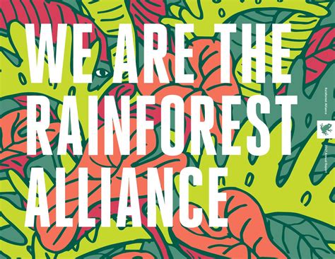 Rainforest Alliance 2017 Annual Report By Rainforest Alliance Issuu