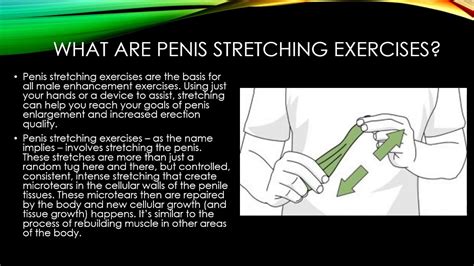 Getting Longer Penis Size With Stretching Exercises Youtube