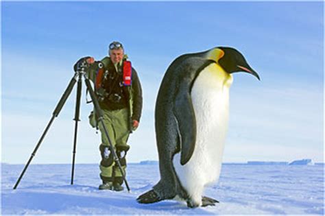 เพนกวินจักรพรรดิ (emperor penguin) เพนกวินจักรพรรดิ อยู่ในทวีปแอนตาร์กติกา มีขนาดที่ใหญ่ที่สุดในหมู่เพนกวิน ฉายาจักรพรรดิ์ไม่ได้มา. เพนกวิน จักรพรรดิ 2 (ตอนจบ)
