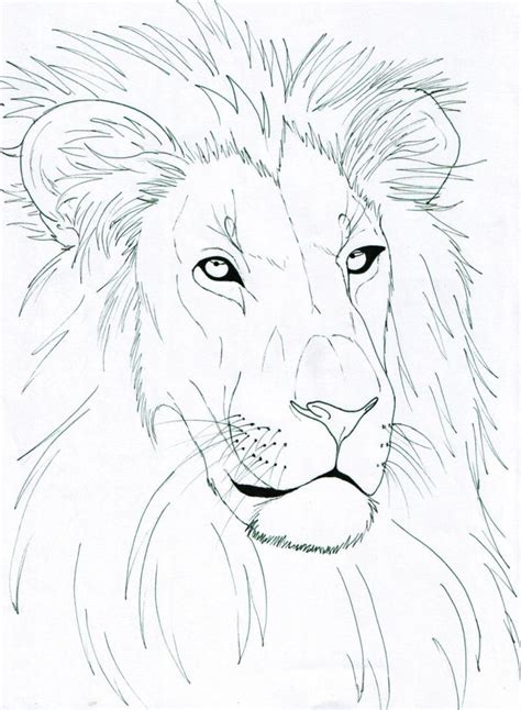 Lion Head By Lucy101 On Deviantart