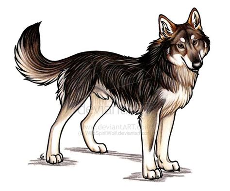 Play With Me Digger Wolfdog By Wildspiritwolf On Deviantart Wolf