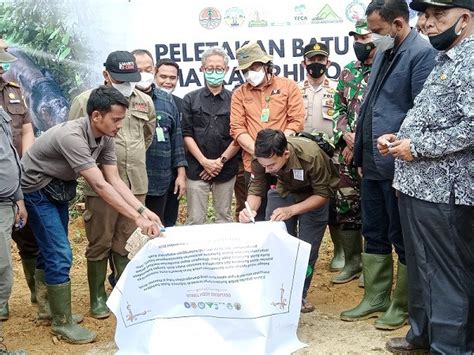 Pembangunan Suaka Badak Dimulai Di Aceh