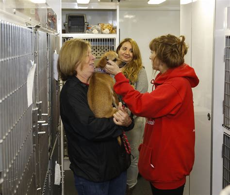 attleboro animal shelter donations - Hyon Jacobsen