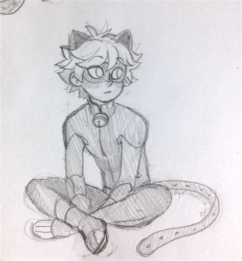 Miraculous Ladybug And Cat Noir Drawing Images