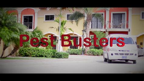 They are hard to prevent and harder still to get rid of once they've infested. Pest Busters - Home | Facebook