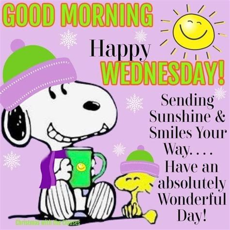 sending sunshine and smiles your way have an absolutely wonderful day good morning happy we
