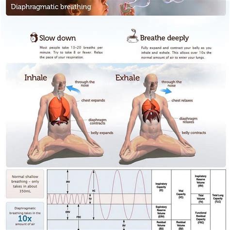 three types of yoga breathing