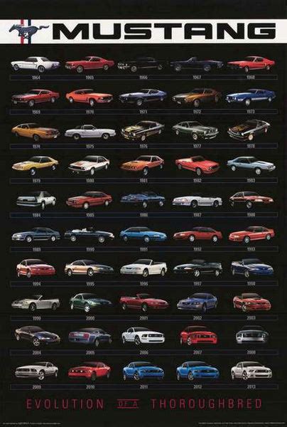 Ford Mustang Evolution 1964 2013 Poster 24x36 Bananaroad