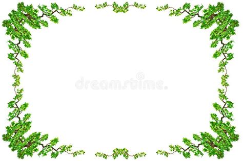 Green Leaf Border Isolated On White Background Clipping Paths I Stock