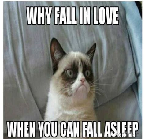 Grumpy Cat Meme Grumpy Cat Quotes Grumpy Cat Humor For More