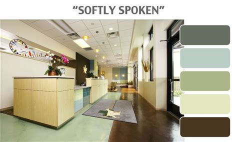 Softly Spoken Color Palette Animal Surgical Clinic Of Seattle