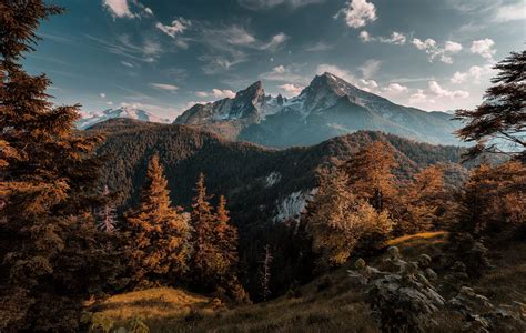 Forest Mountains Hd Nature 4k Wallpapers Images