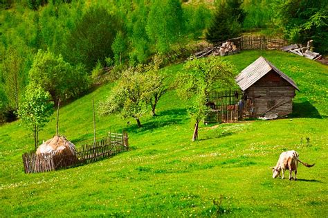 Сельский туризм: простое объяснение
