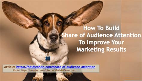 How To Build Share Of Audience Attention To Improve Your Marketing