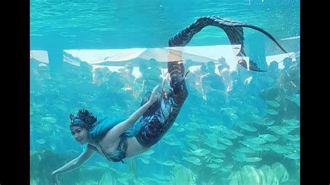 Professional Mermaid Swims In Aquarium Mermaid Madeleine 2021 Youtube