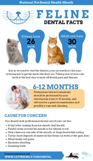 Oral health can be difficult for pet owners and veterinary teams to manage in cats, particularly for pets whose owners are not committed to regular teeth brushing and/or dental treats. How to Prevent Dental Disease in Cats and Dogs ...
