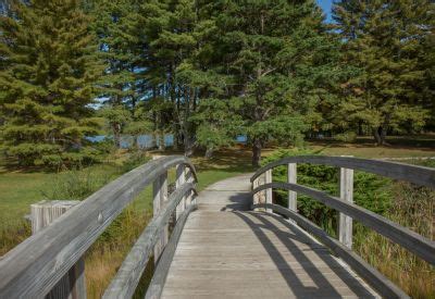 Explore camper reviews and photos of the campgrounds in monongahela national forest. Camping (With images) | Monongahela national forest ...