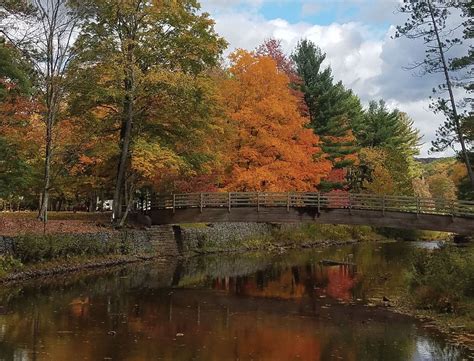 Cross Fork Todays Top Fall Foliage Spot In Pennsylvania