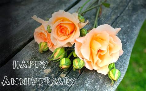 Free Marriage Anniversary Orange Rose Wishes Cards Festival Chaska