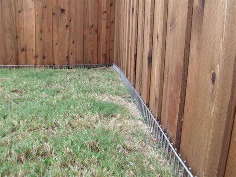 Other dogs may find their own reasons to dig. Dig Defence XL Model … | Backyard fences, Backyard dog ...