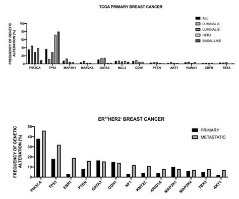 Molecular Classification Of Breast Cancer Encyclopedia Mdpi