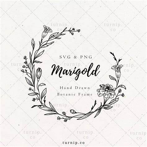 Marigold Wreath Svg And Png Clipart Sublimation Graphic Design Etsy