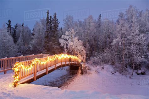 Bridge Decorated With Christmas Lights In A Forest Setting