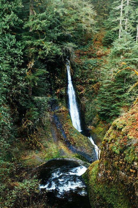 Loowit Falls, Oregon stock image. Image of creek, mount - 92501077