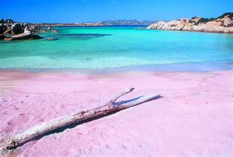 Pagesotherbrandwebsitesociety & culture websitesardinien intimvideosmauros oblò: Which is the Best Costa Smeralda Beach?