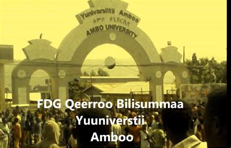 Freedom For Oromiaoromiyaa Oromo Student Protests Against Addis