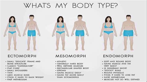 best exercise for endomorph body type exercise poster