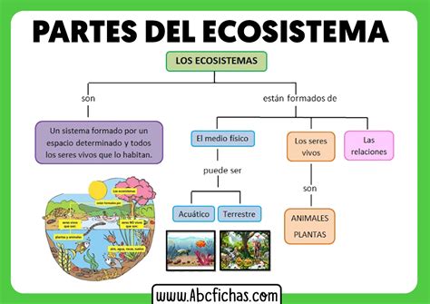 Partes De Un Ecosistema Abc Fichas