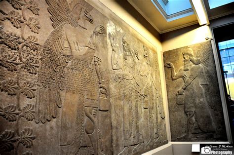 Wall Reliefs North West Palace Of Ashurnasirpal Ii Ancient British