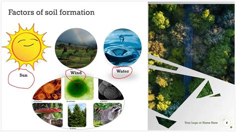 Factors of soil formation 3. Class 9 | Biology| Factors of soil formation | part 3 ...