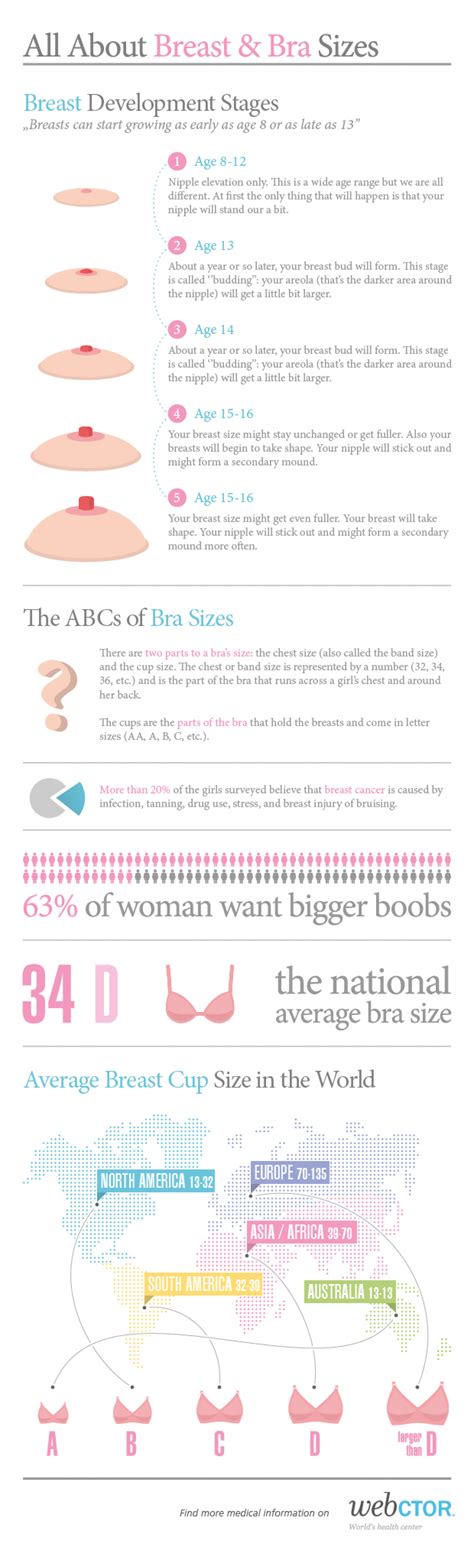 All About Breasts And Bra Sizes Visual Ly