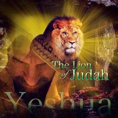 1000 Images About Hebrew Lion Of The Tribe Of Judah On Pinterest