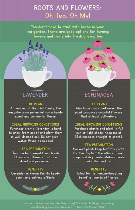 Grow A Tea Garden