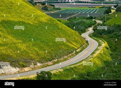 Country Road Curves Through Green Hills Agriculture Valley Is Spring Hi