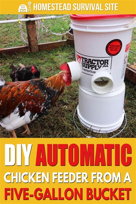 Diy Automatic Chicken Feeder From Five Gallon Bucket In 2020