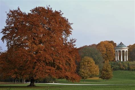 Eine buslinie durchquert den englischen garten mit haltestelle am chinesischen turm. Englischer Garten - München Wiki