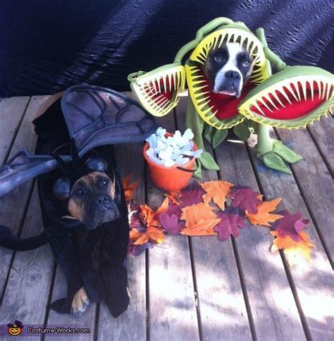 Includes a leaves top and flower pot bottom. Venus Flytrap Plant and the Fly - Costumes for Dogs